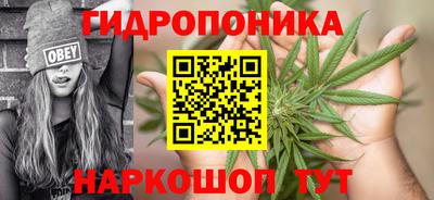 крисы Краснокаменск