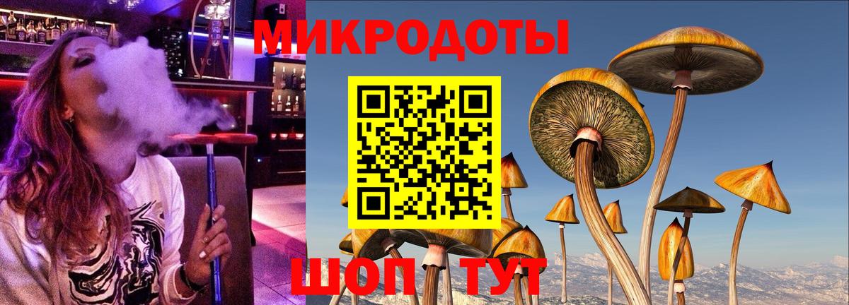 Галлюциногенные грибы Cubensis  Вход с VPN  Ессентуки  Псилоцибиновые грибы GOLDEN TEACHER 