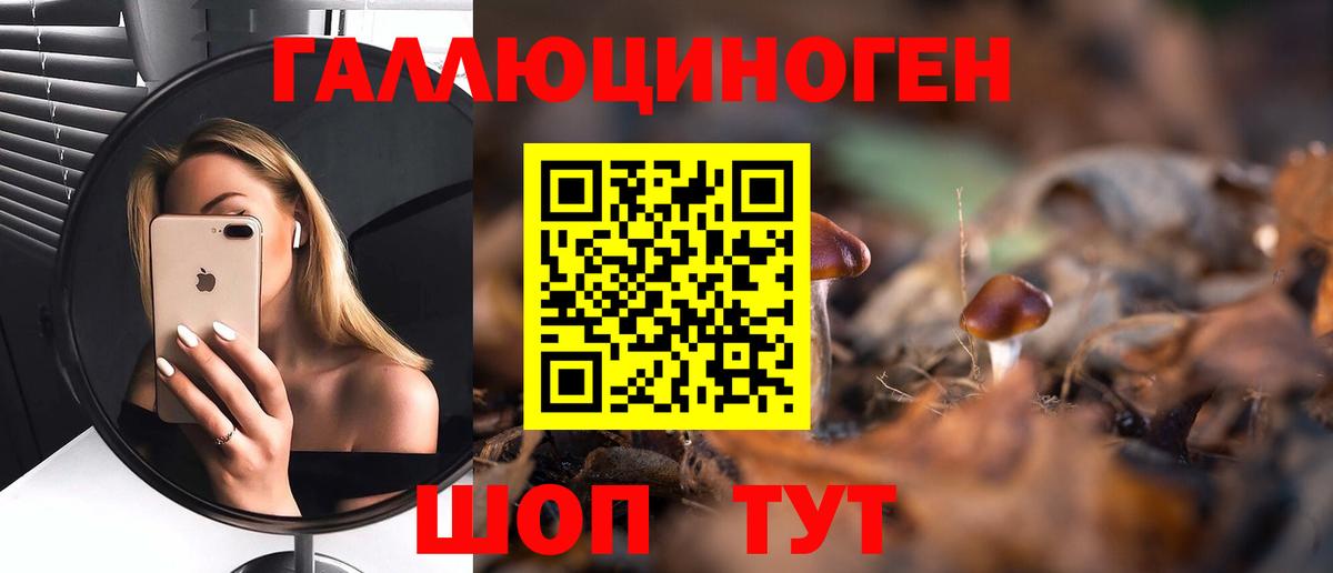 Галлюциногенные грибы GOLDEN TEACHER Ессентуки
